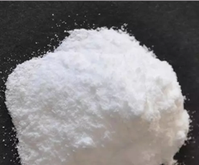 2,3-Pyridinedicarboxylic Acid ...